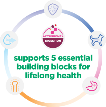 Infographic explains 5 essential building blocks for puppy health