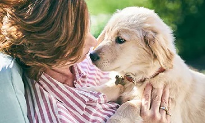 A woman holding a golden retriever puppy in her arms