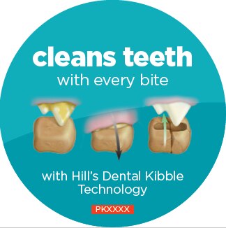 Dental Kibble Technology